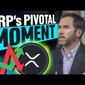 LEAKED RIPPLE DOCUMENT HAS XRP ARMY THRILLED (Bank Insiders Go ALL IN)