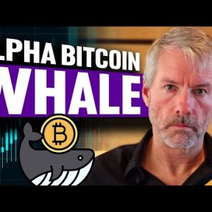 This Man Knows MORE Than You About Crypto (Bitcoin Buying War Has Started)