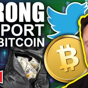 Elon Musk Becomes Twitters LARGEST Shareholder! (Bitcoin Above Strong Support)