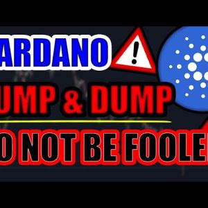 CARDANO PUMP & DUMP EXPOSED (Whale Manipulation)!!? Crypto Investors DO NOT BE FOOLED!