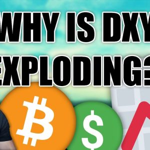 Why US Dollar Index (DXY) is Hitting 20-Year Highs | Bitcoin Expert Explains