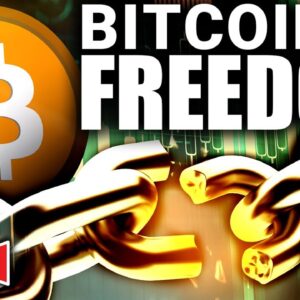 Bitcoin is FREEDOM in Face of Censorship! (FTX Stablecoin Rising)