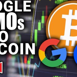Google FOMOs into Bitcoin! (Should YOU Buy The Dip in 2023?)