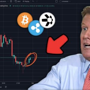 The SCARY Truth About Buying Bitcoin, XRP, and Quant in October... | Crypto Coin News