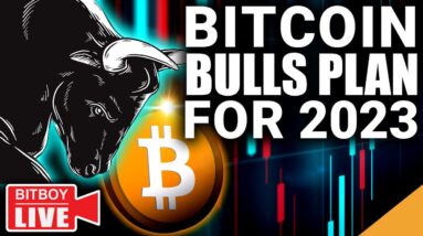 Bitcoin Bulls Plan for 2023 (Silver Lining to FTX Contagion)